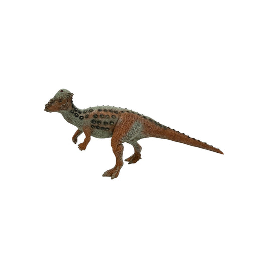 Pachycephalosaurus (Safari)