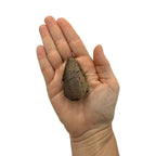 Claw Replica (Pachycephalosaurus)