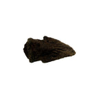 Pachycephalosaurus Toe Claw