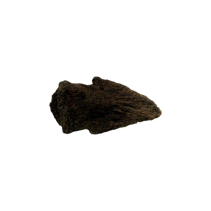 Pachycephalosaurus Toe Claw