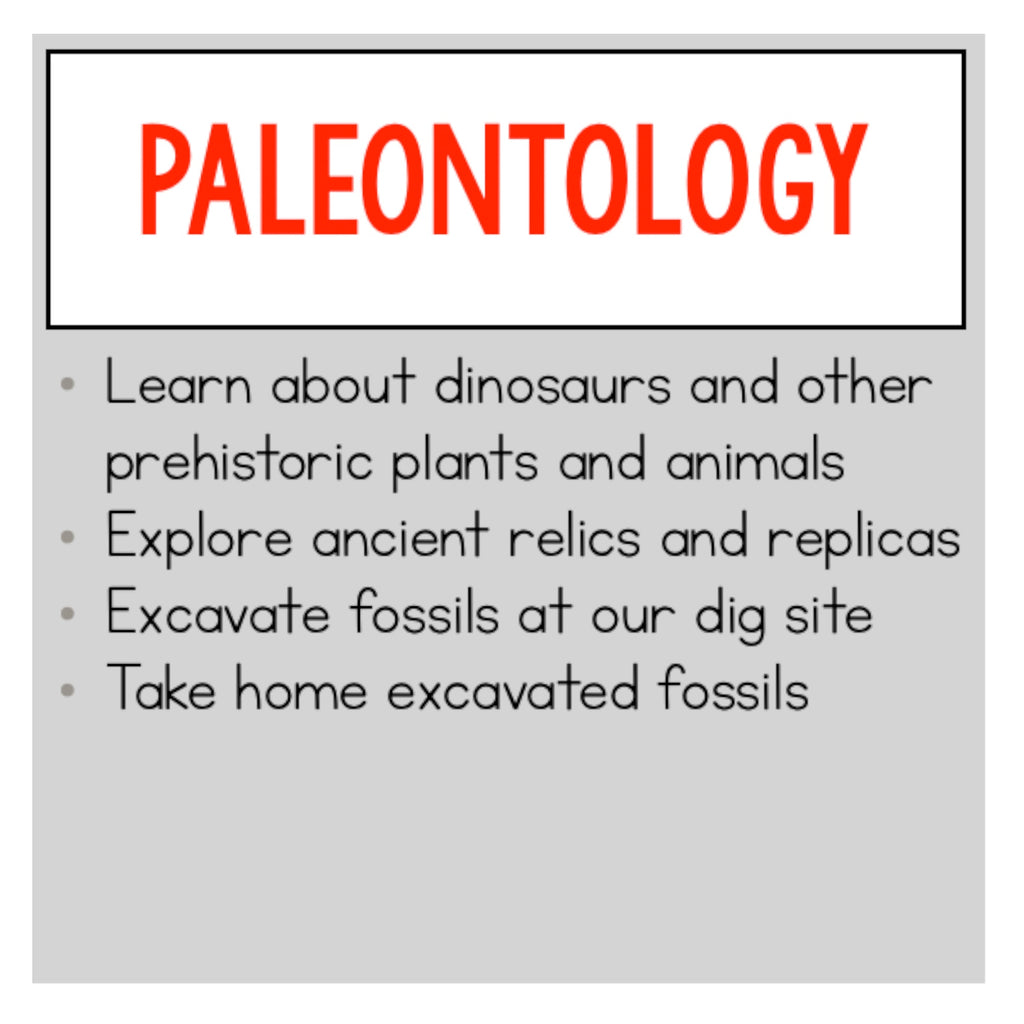 Paleontology Class (Fossils)