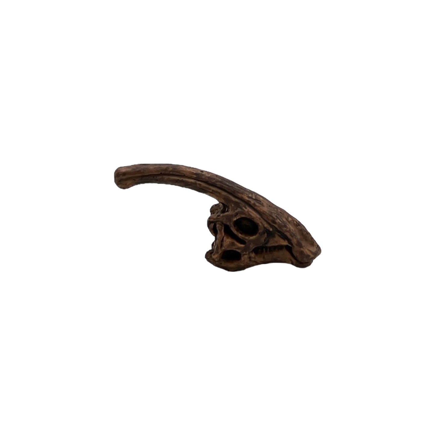 Dino Skulls (Safari)