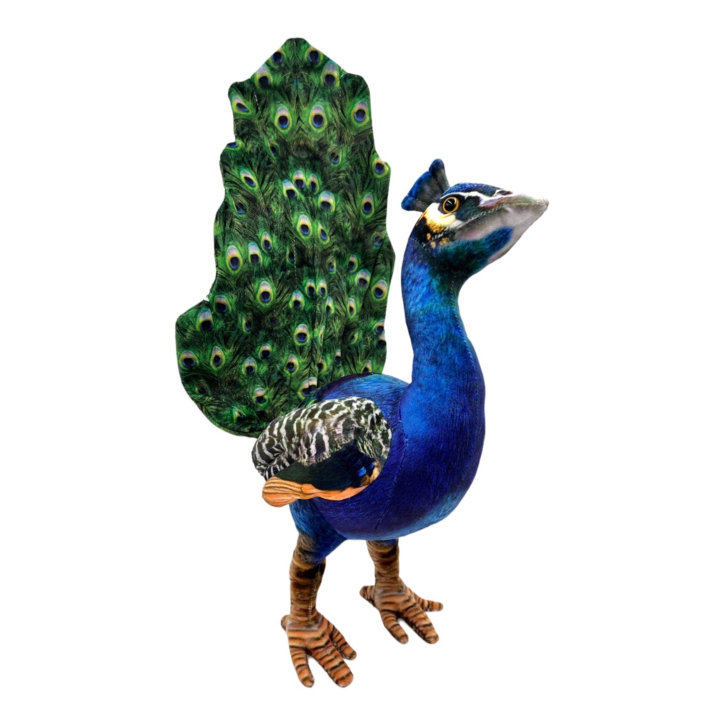 Peacock Plush