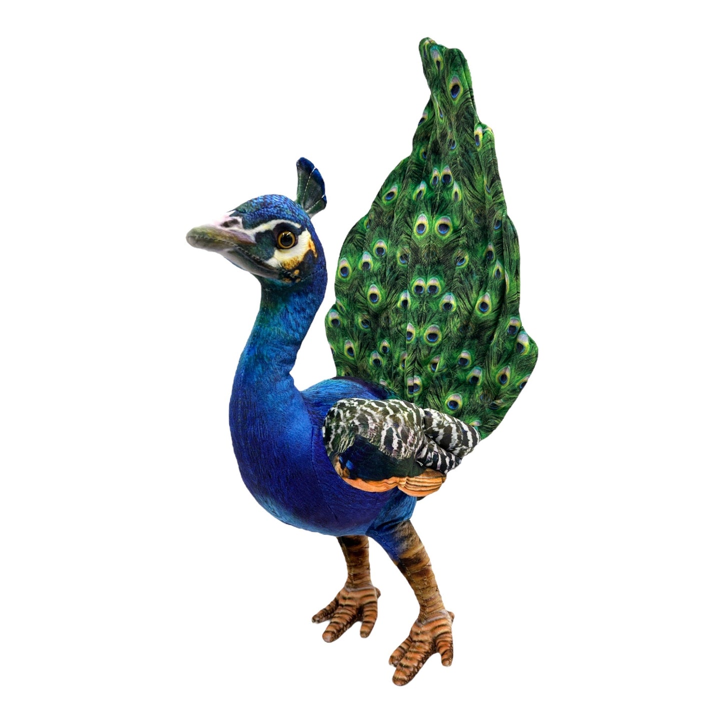 Peacock Plush