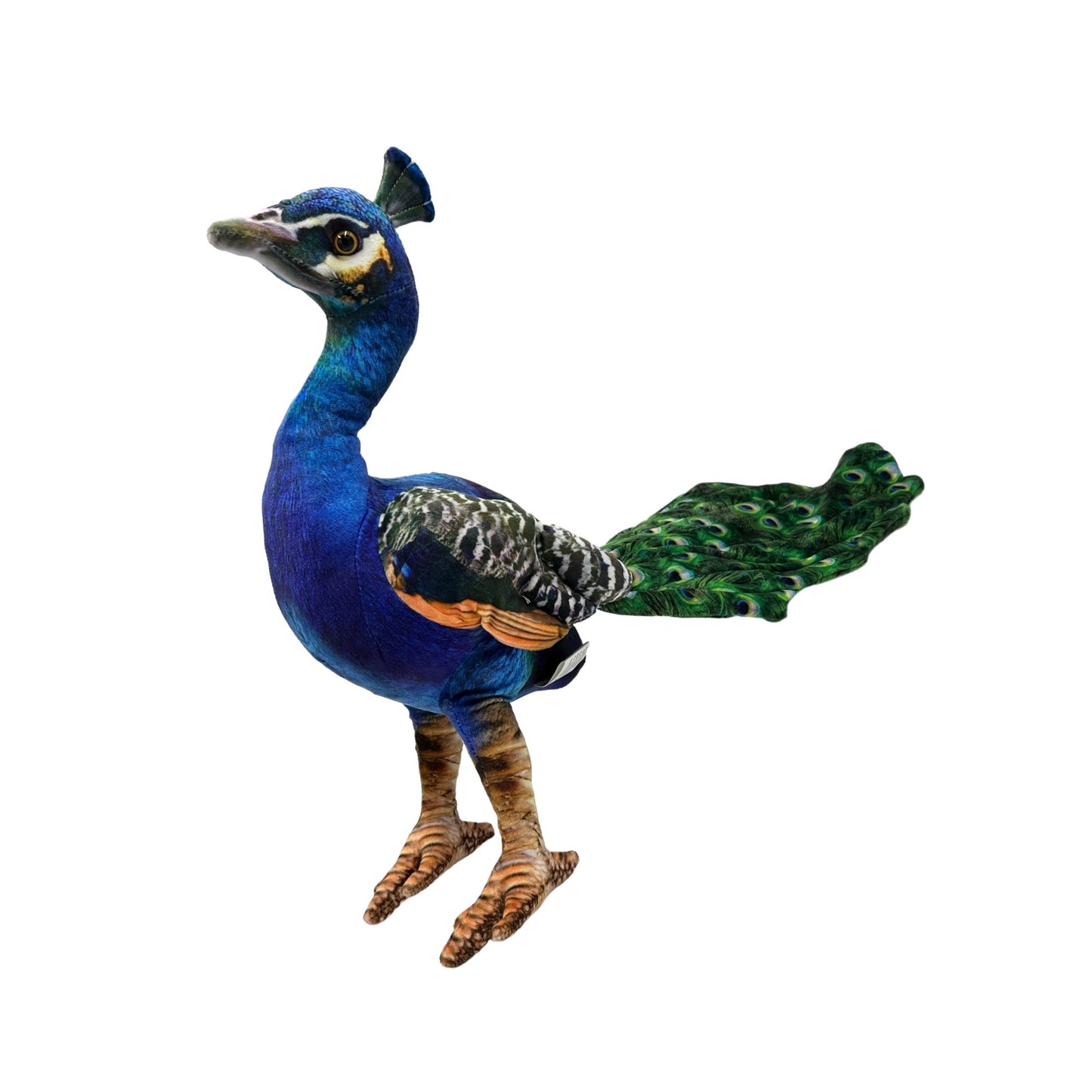 Peacock Plush