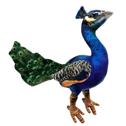 Peacock Plush