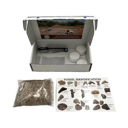 Permian Era Dig Kit