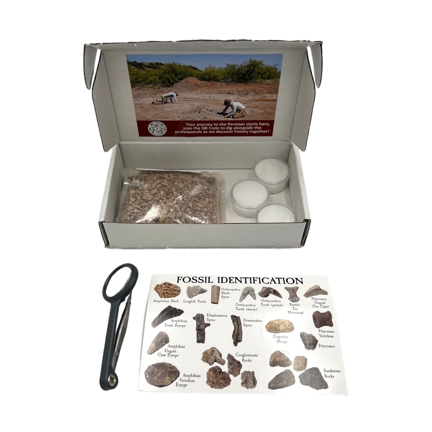 Permian Era Dig Kit