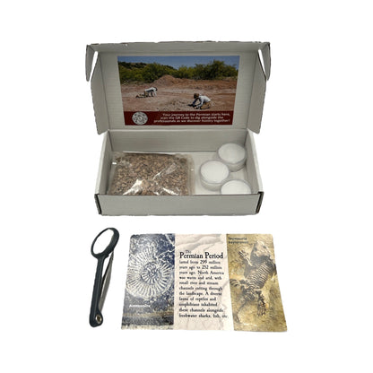 Permian Era Dig Kit