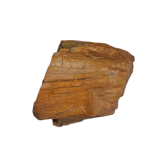 Petrified Wood
