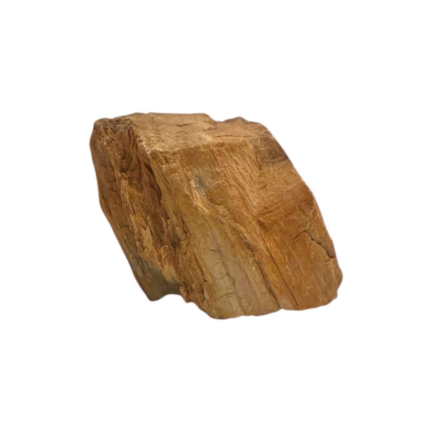 Petrified Wood