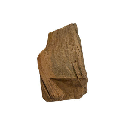 Petrified Wood