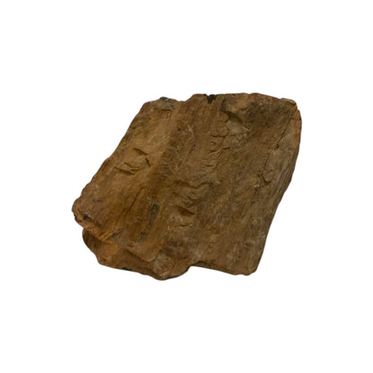 Petrified Wood