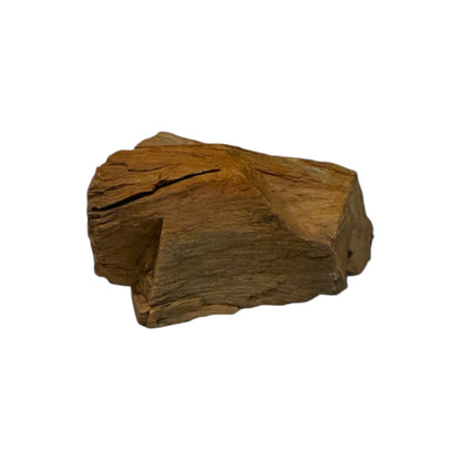 Petrified Wood
