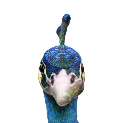 Peacock Plush