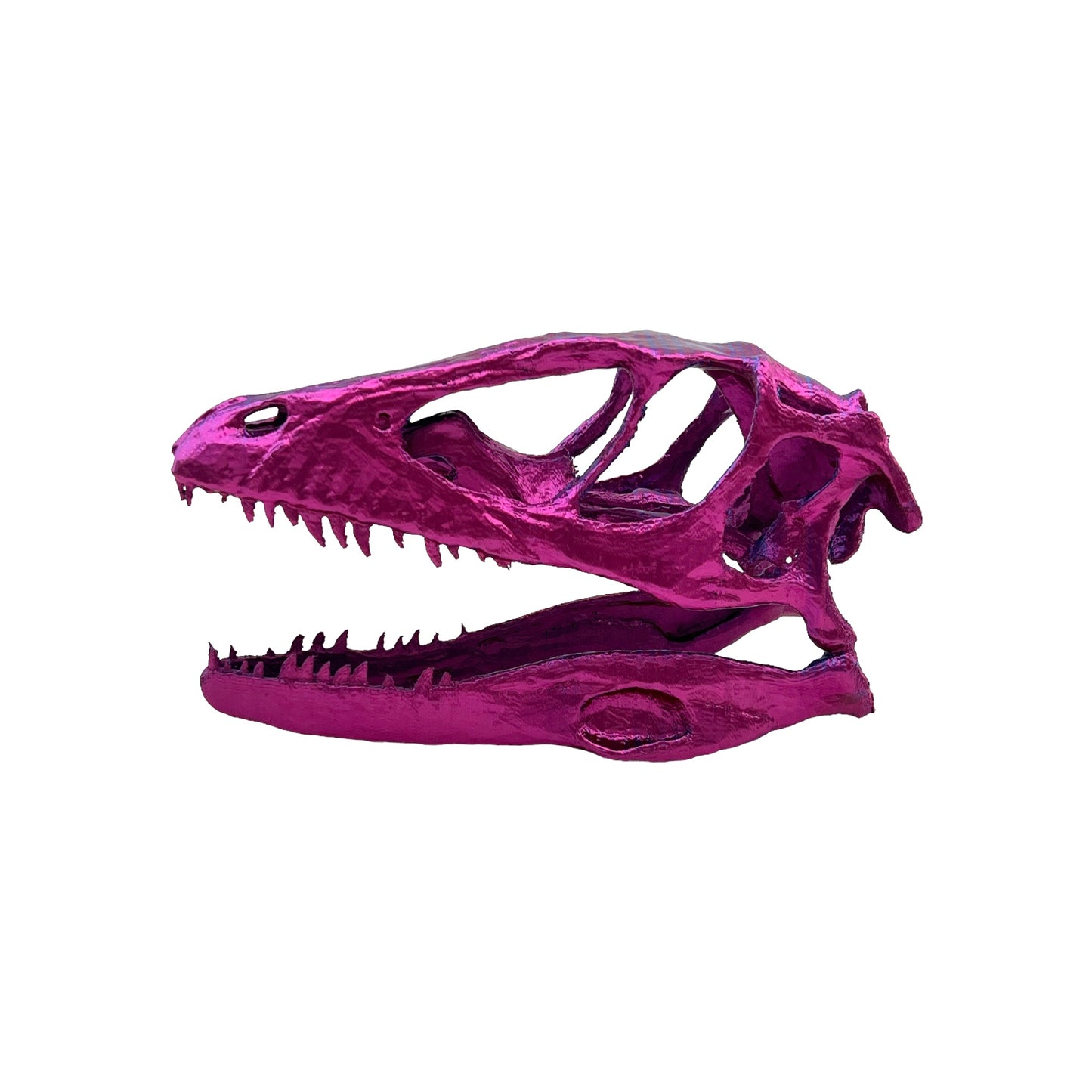 3D Printed Raptor Skull