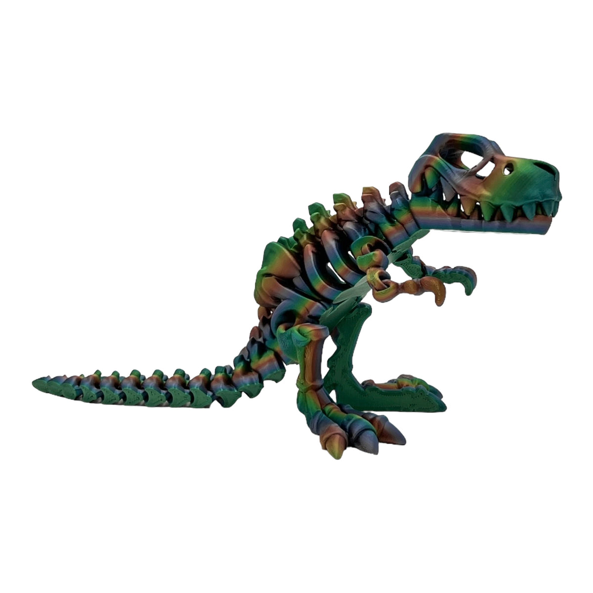 3D Printed T-Rex Skeleton