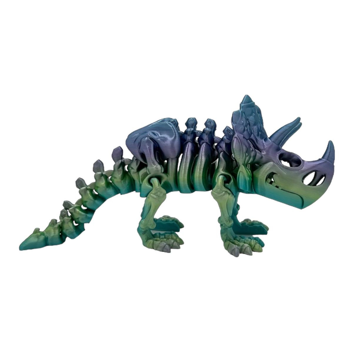 3D Printed Triceratops Skeleton