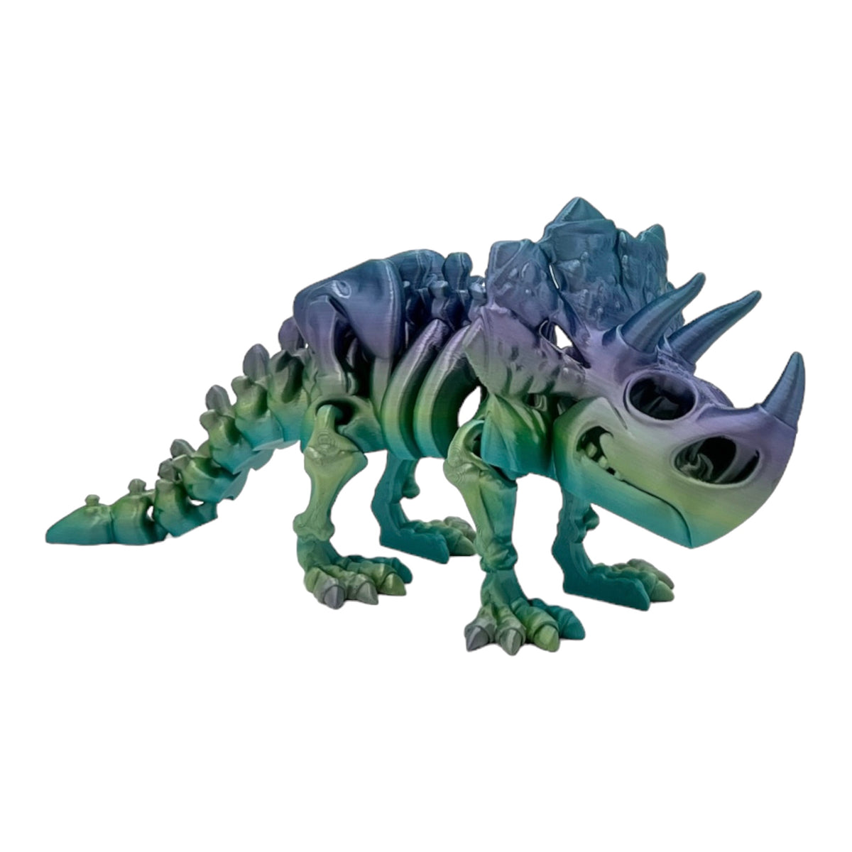 3D Printed Triceratops Skeleton
