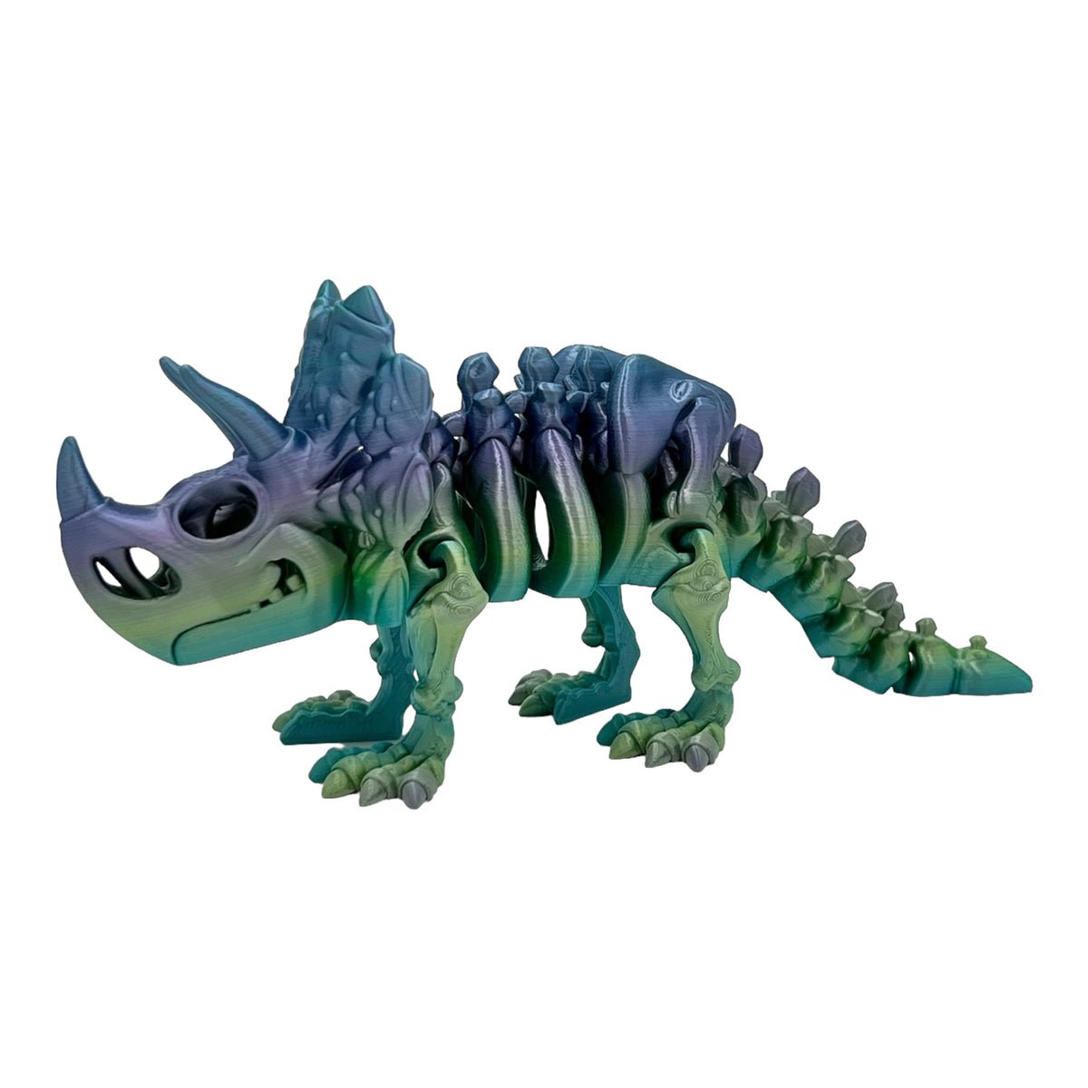 3D Printed Triceratops Skeleton