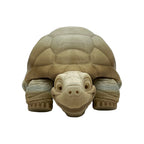 3D Printed Desert Tortoise