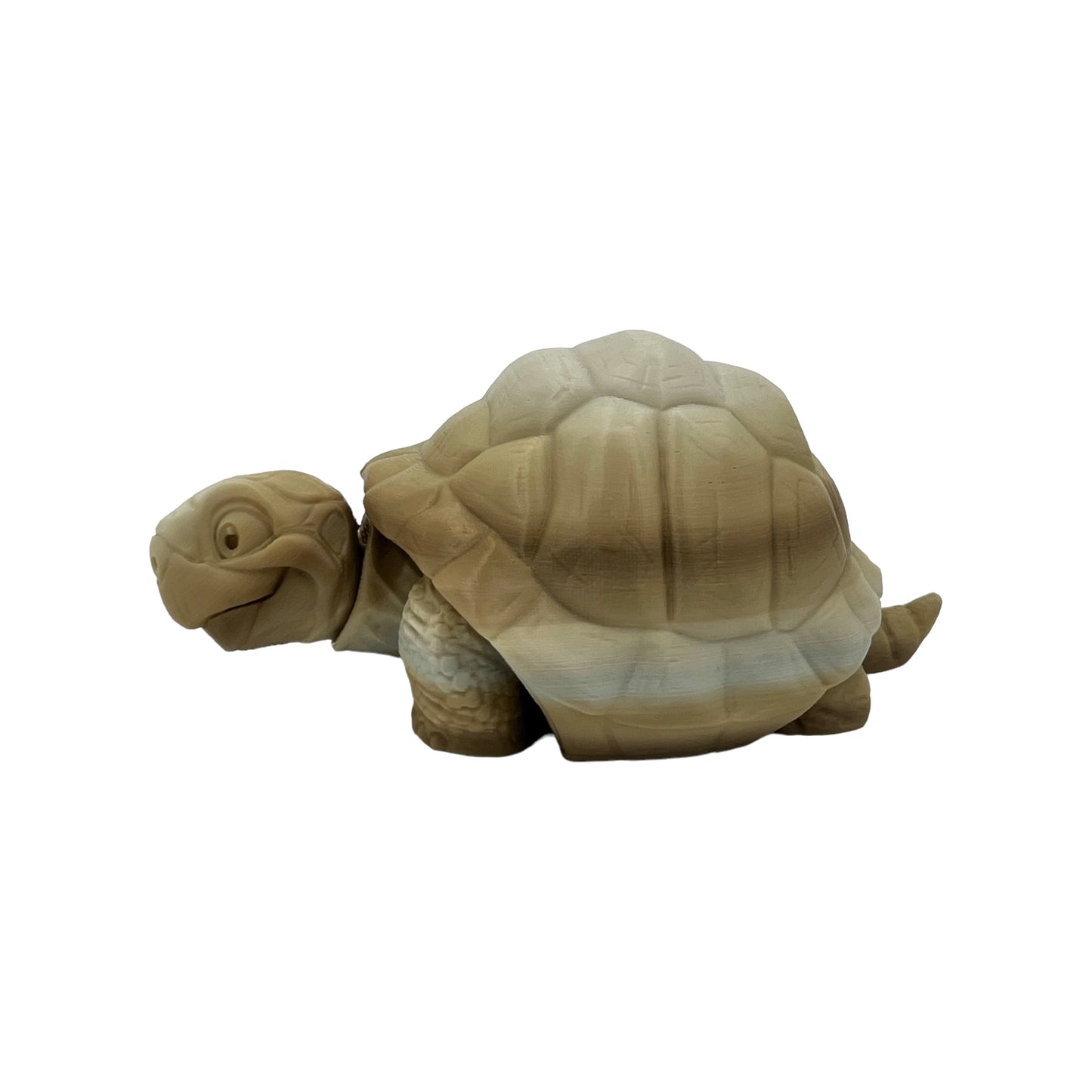 3D Printed Desert Tortoise