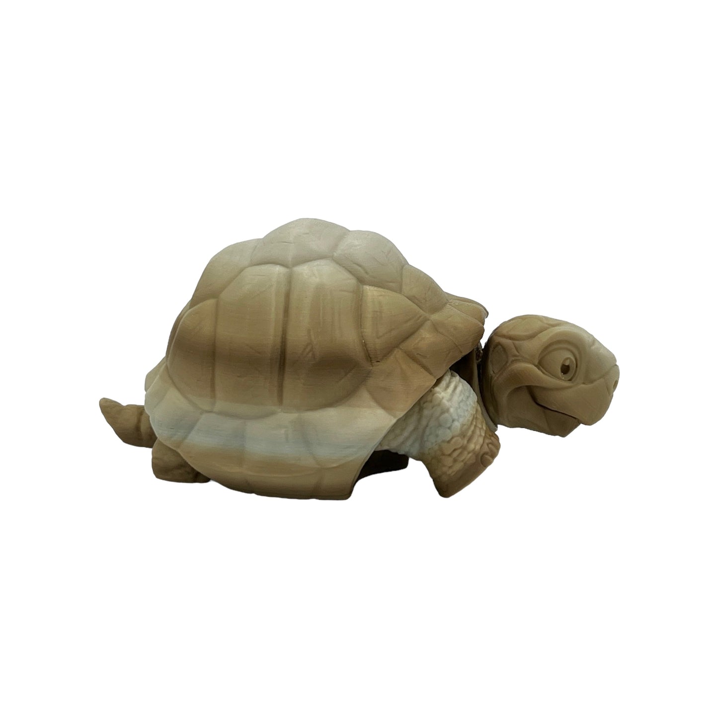 3D Printed Desert Tortoise