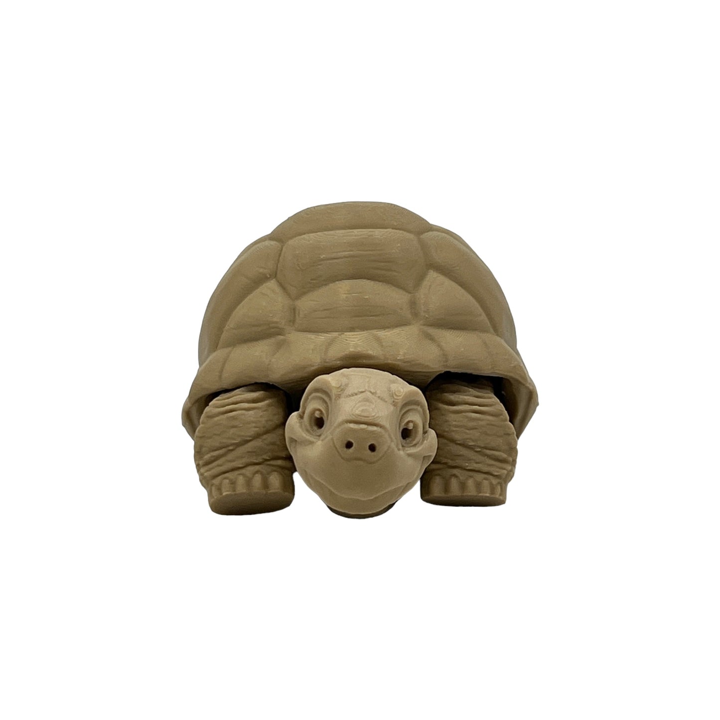 3D Printed Desert Tortoise