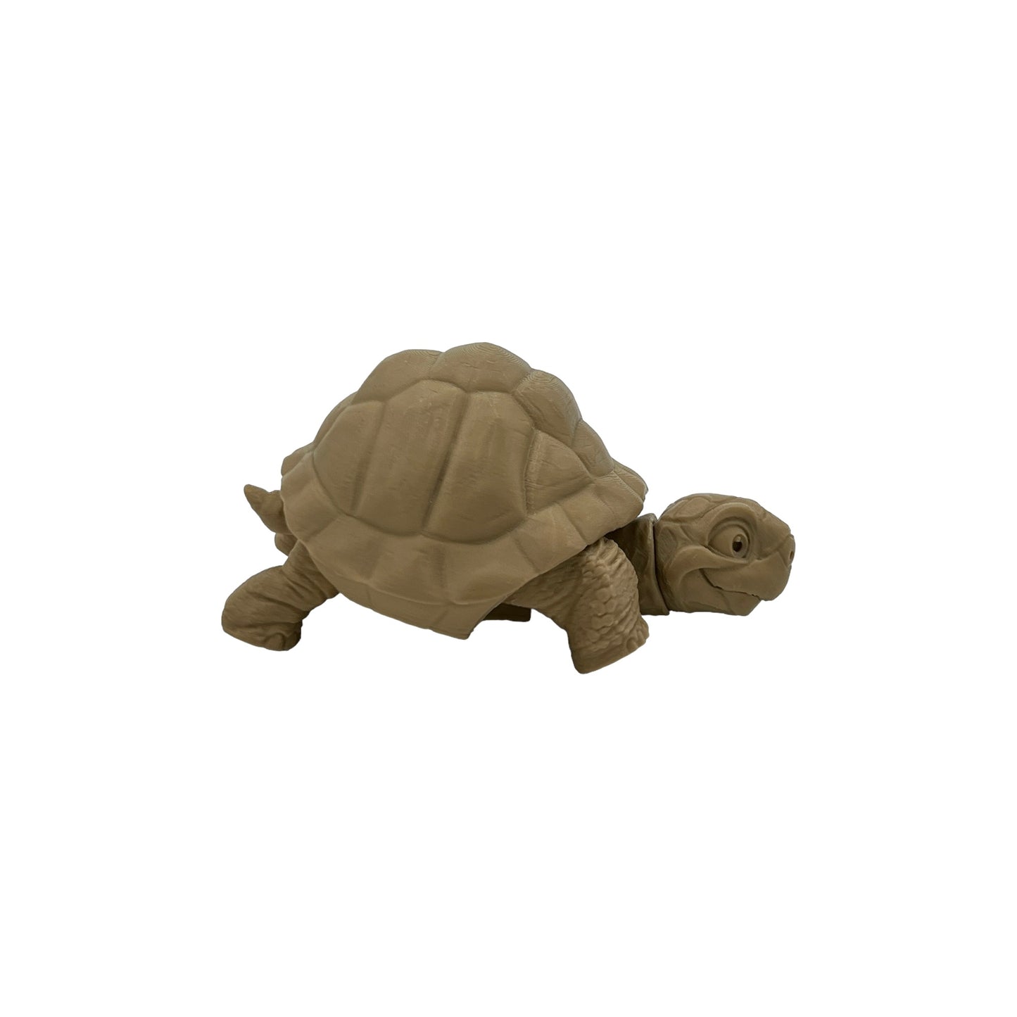 3D Printed Desert Tortoise