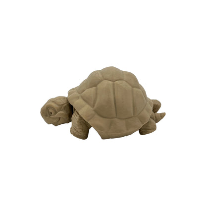 3D Printed Desert Tortoise