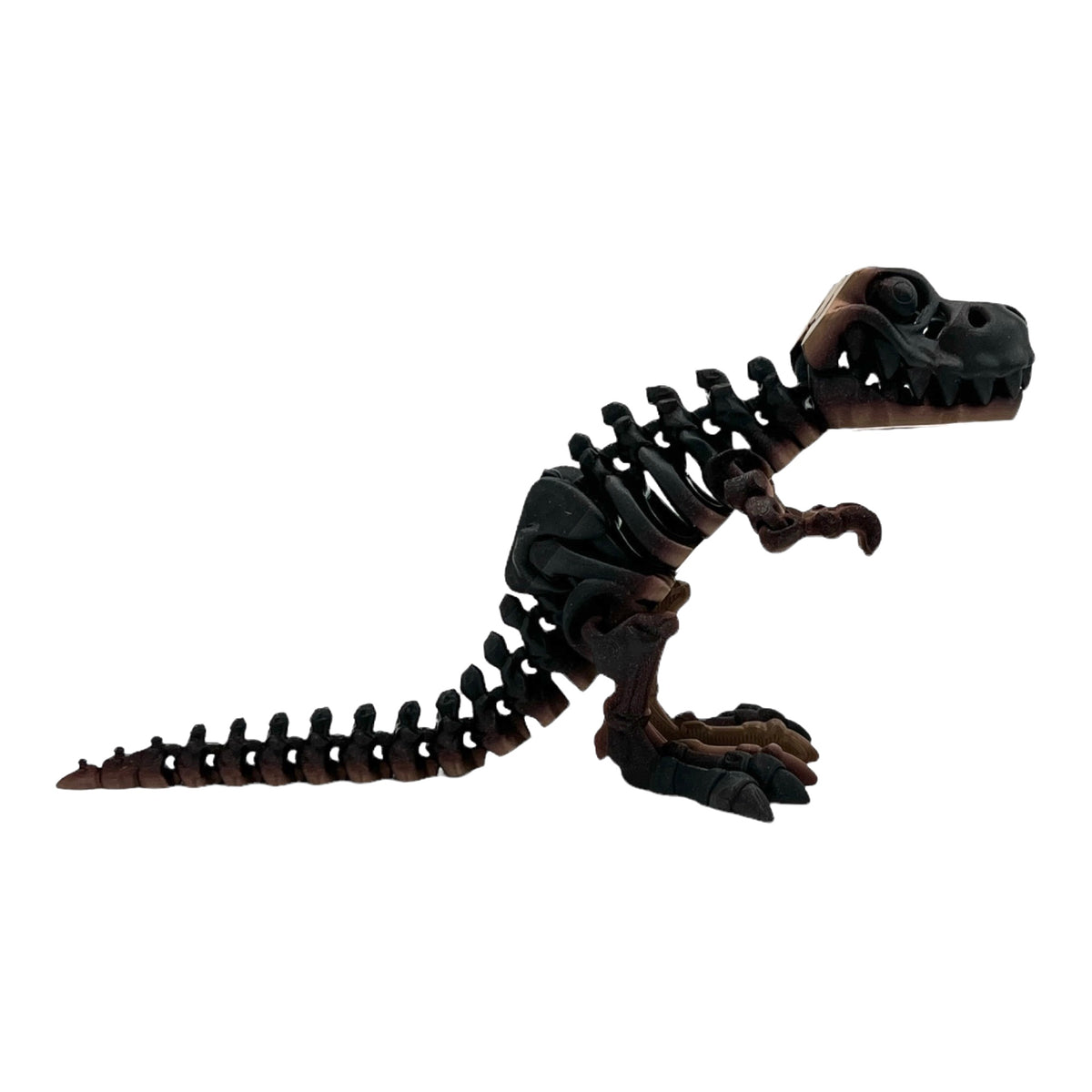 3D Printed T-Rex Skeleton