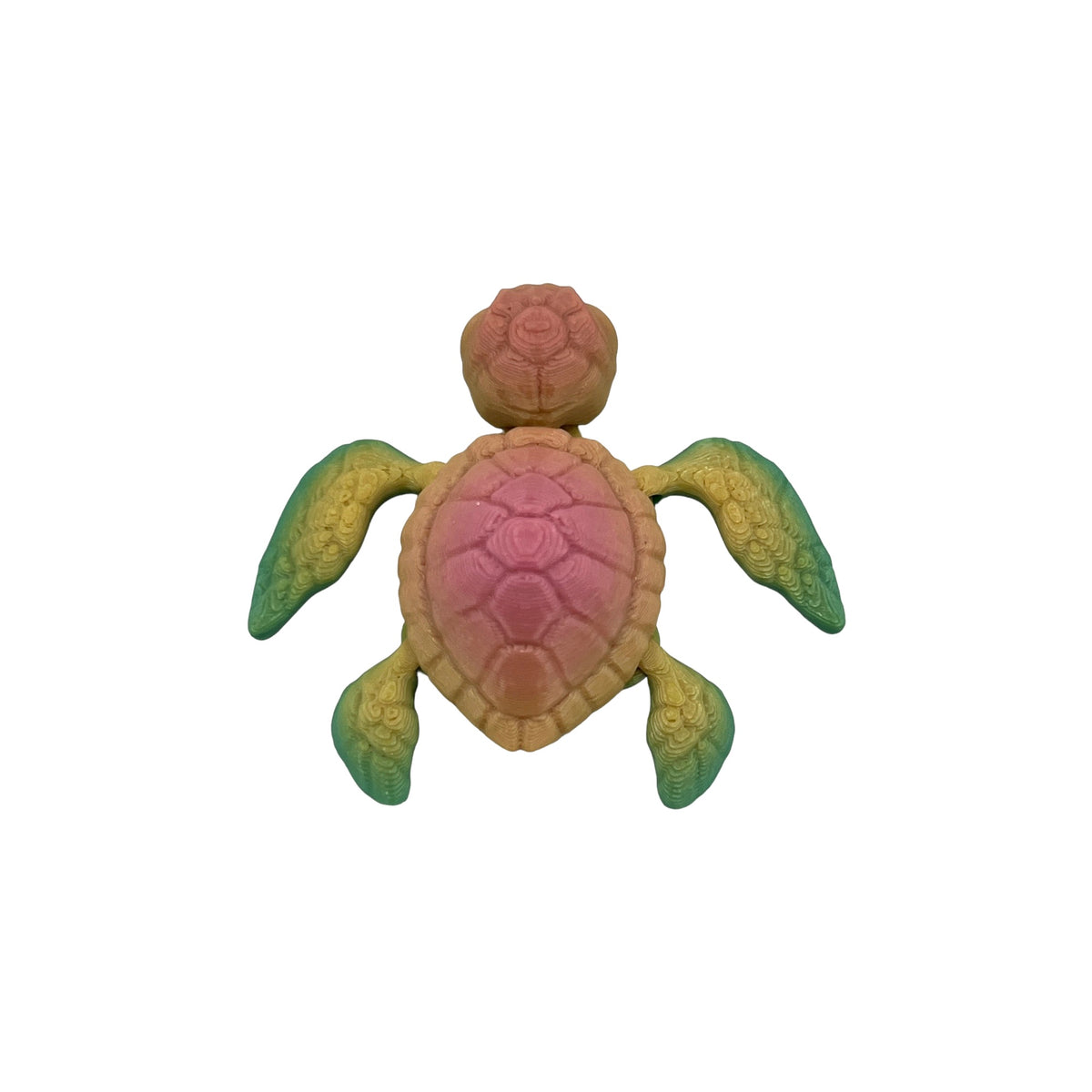 3D Printed Turtle