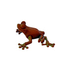 3D Printed Frog