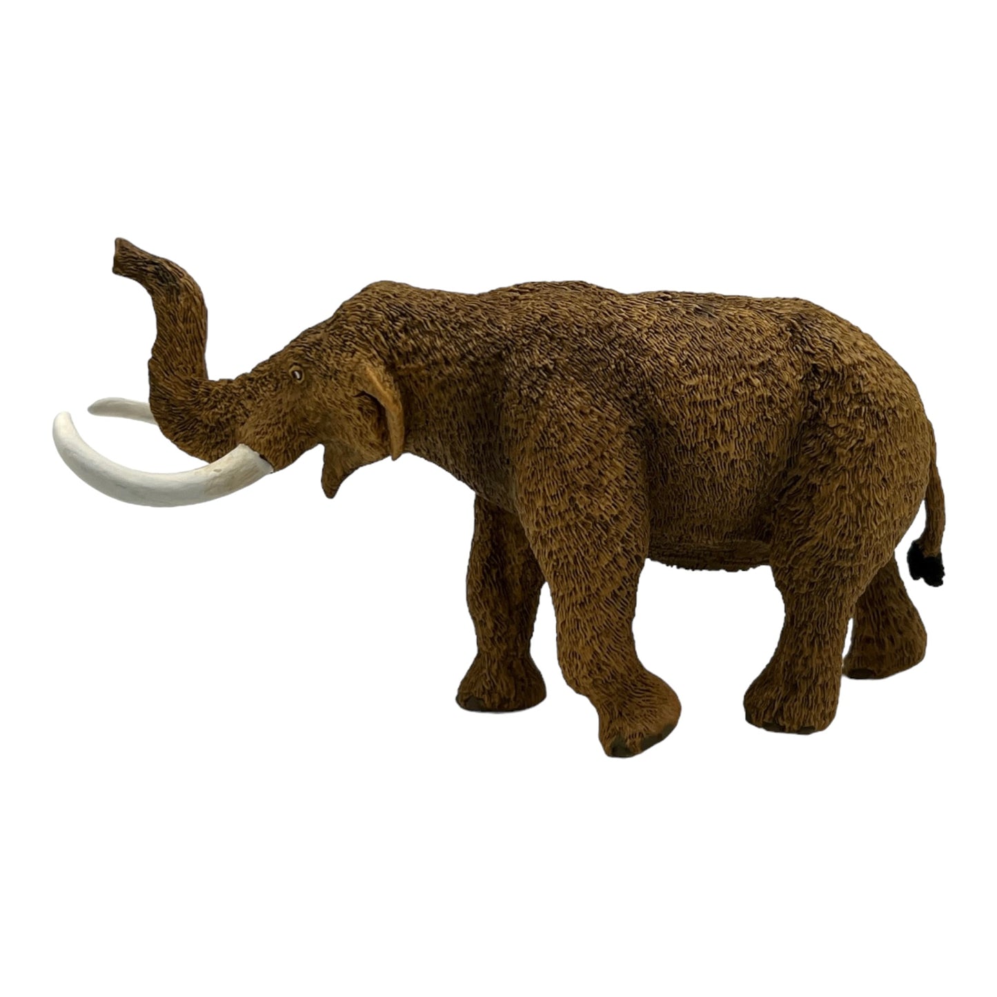 American Mastodon (Safari)