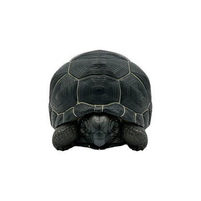 Aldabra Giant Tortoise Statue