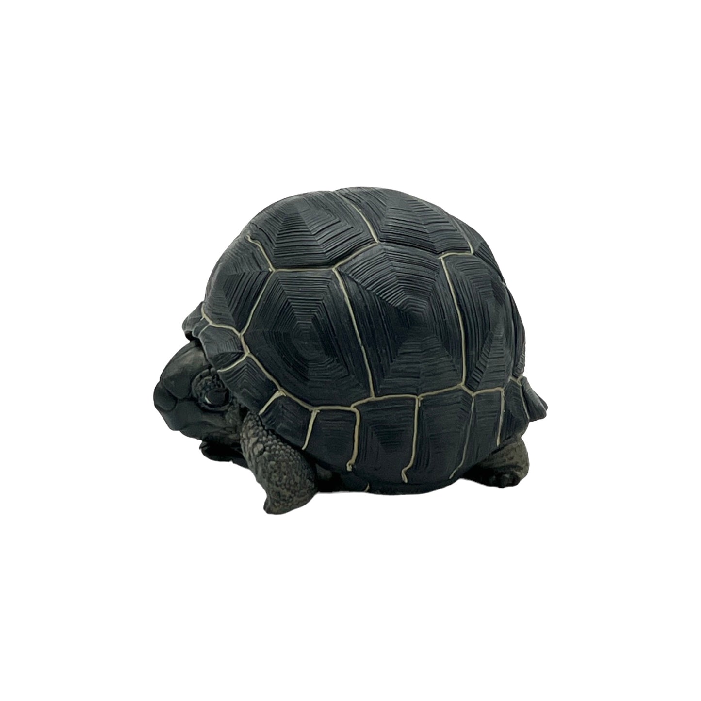 Aldabra Giant Tortoise Statue