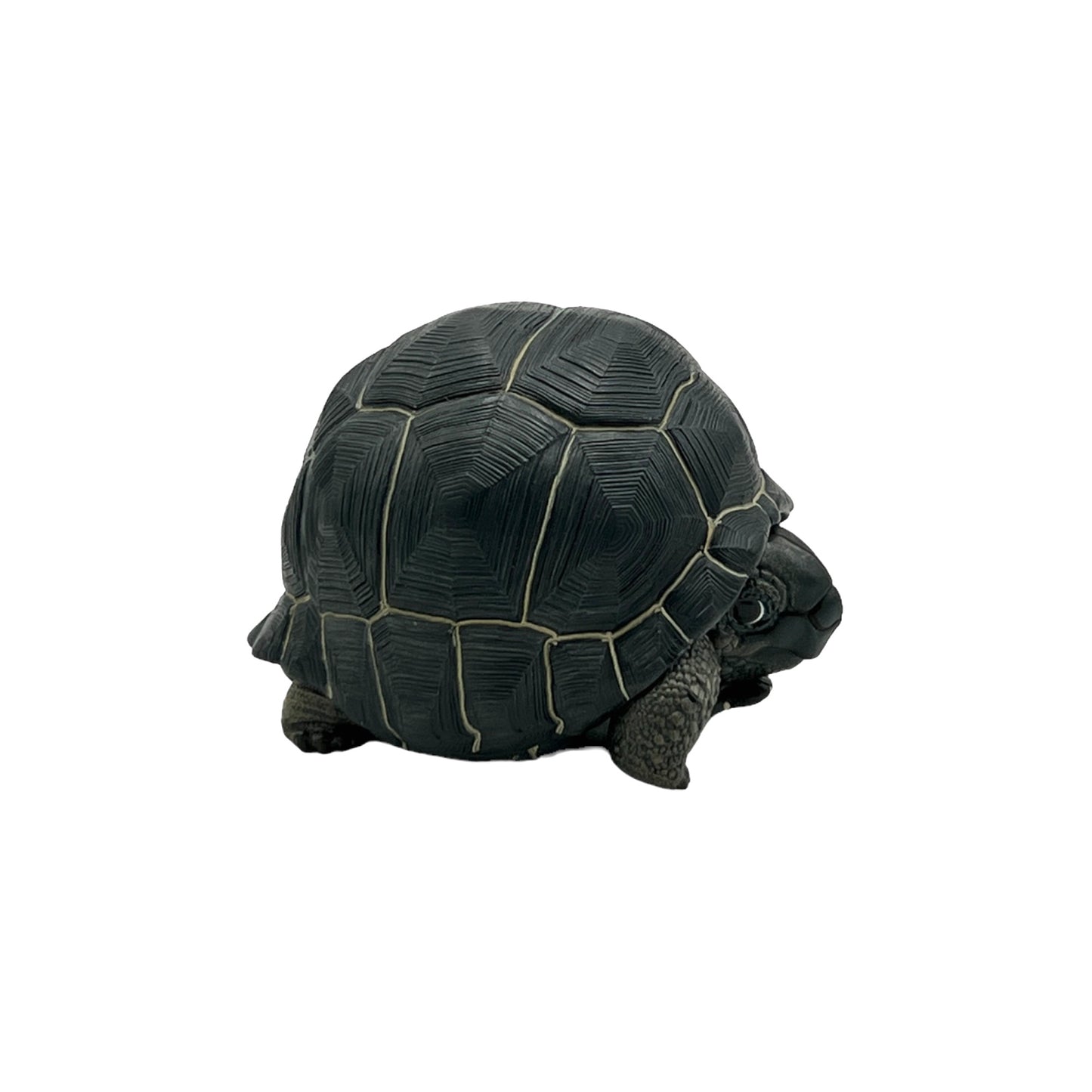 Aldabra Giant Tortoise Statue