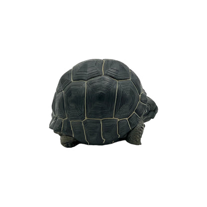 Aldabra Giant Tortoise Statue