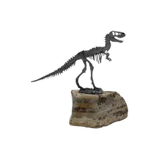 Dinosaur on Rock