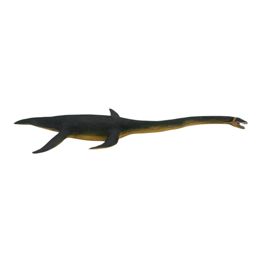 Elasmosaurus (Safari)