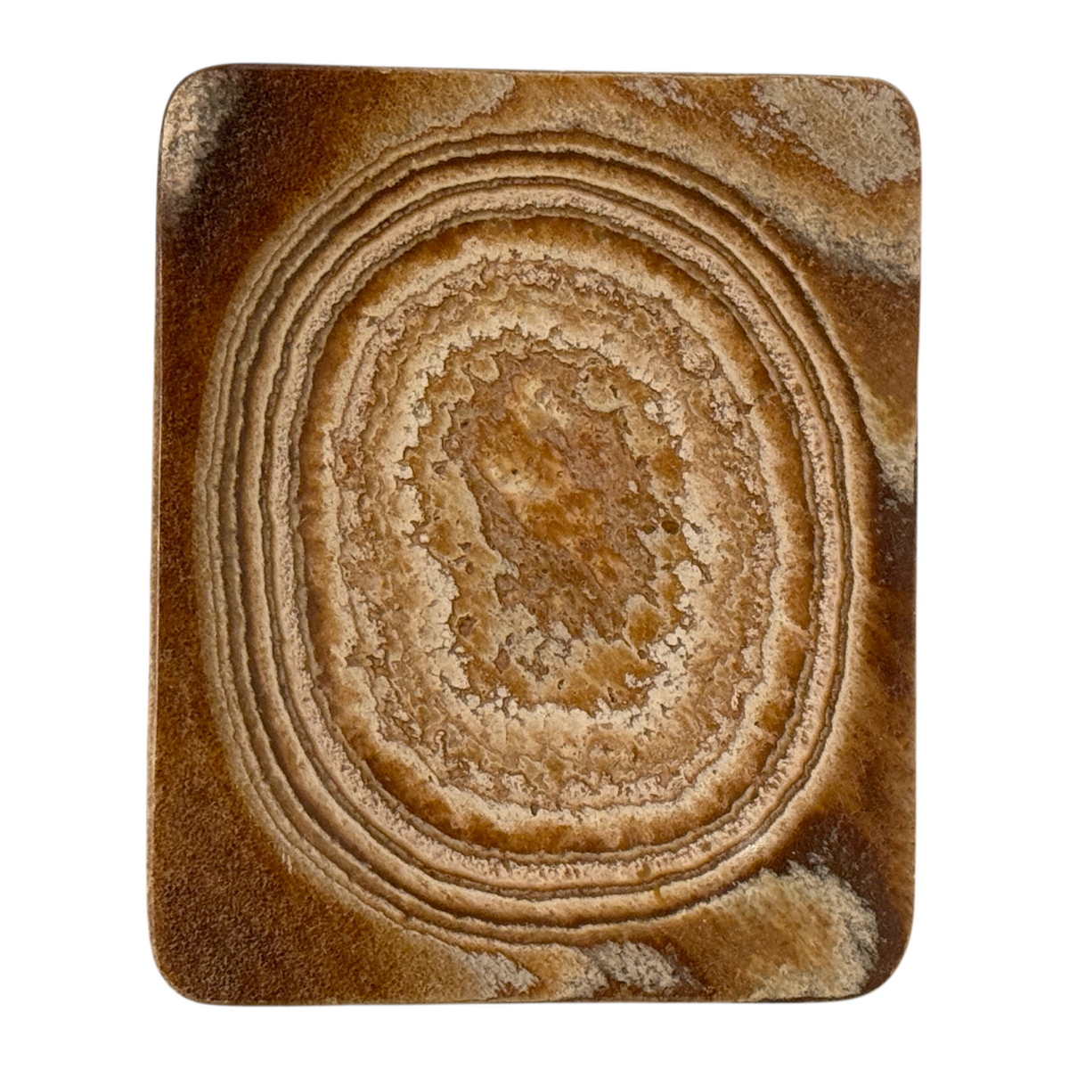 Aragonite Plate