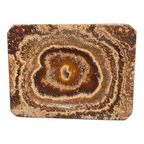 Aragonite Plate