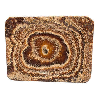 Aragonite Plate