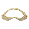 Shark Jaw (Silky Shark, 13")