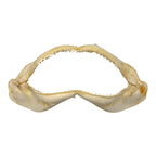 Shark Jaw (Silky Shark, 13")