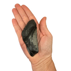 Fossil Shark Tooth (Megalodon Fragment)