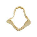 Shark Jaw (Mako Shark, 6”)
