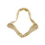 Shark Jaw (Mako Shark, 6”)