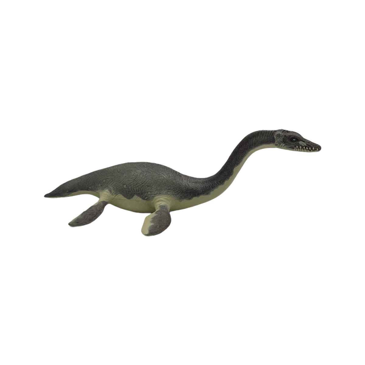 Plesiosaurus (Papo)