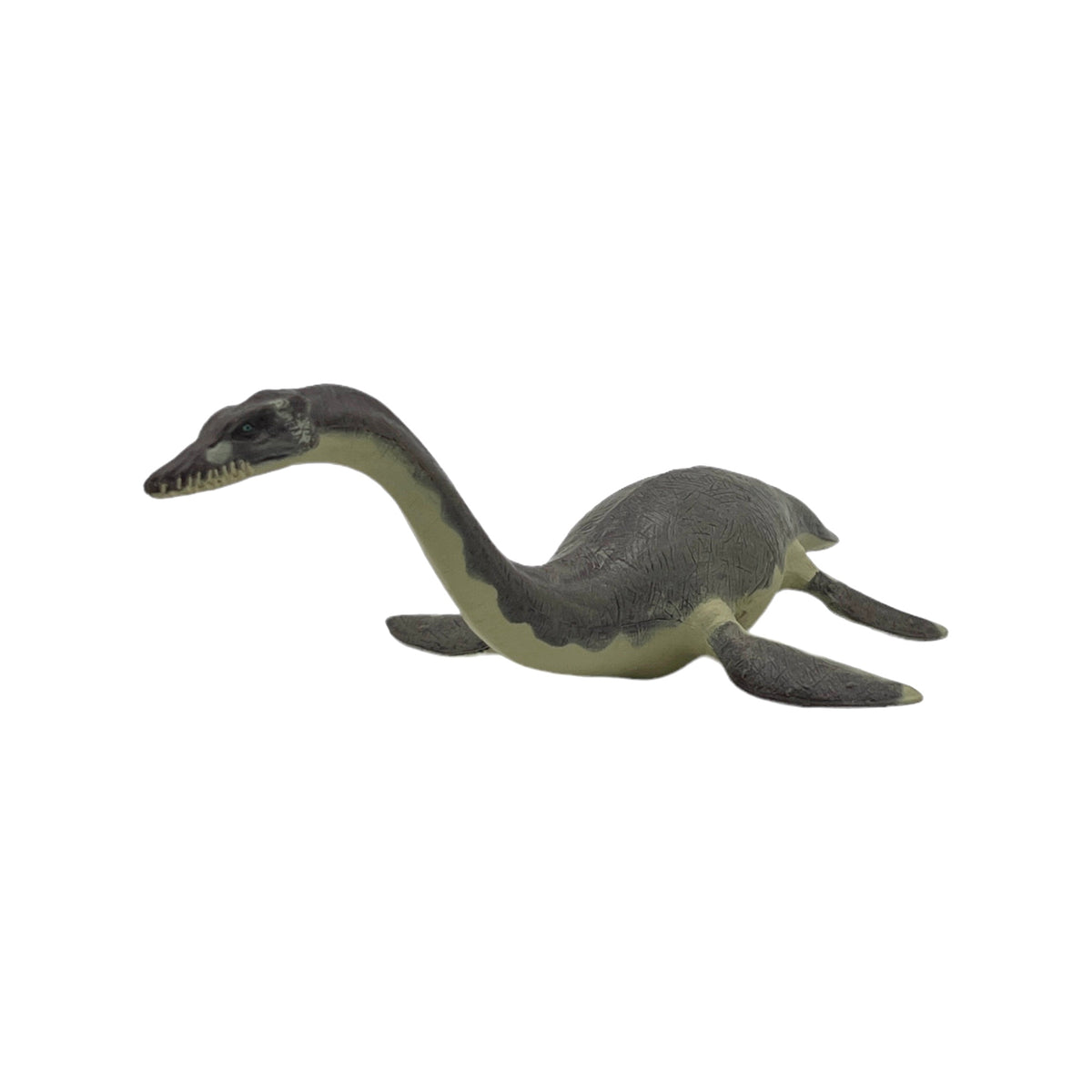 Plesiosaurus (Papo)